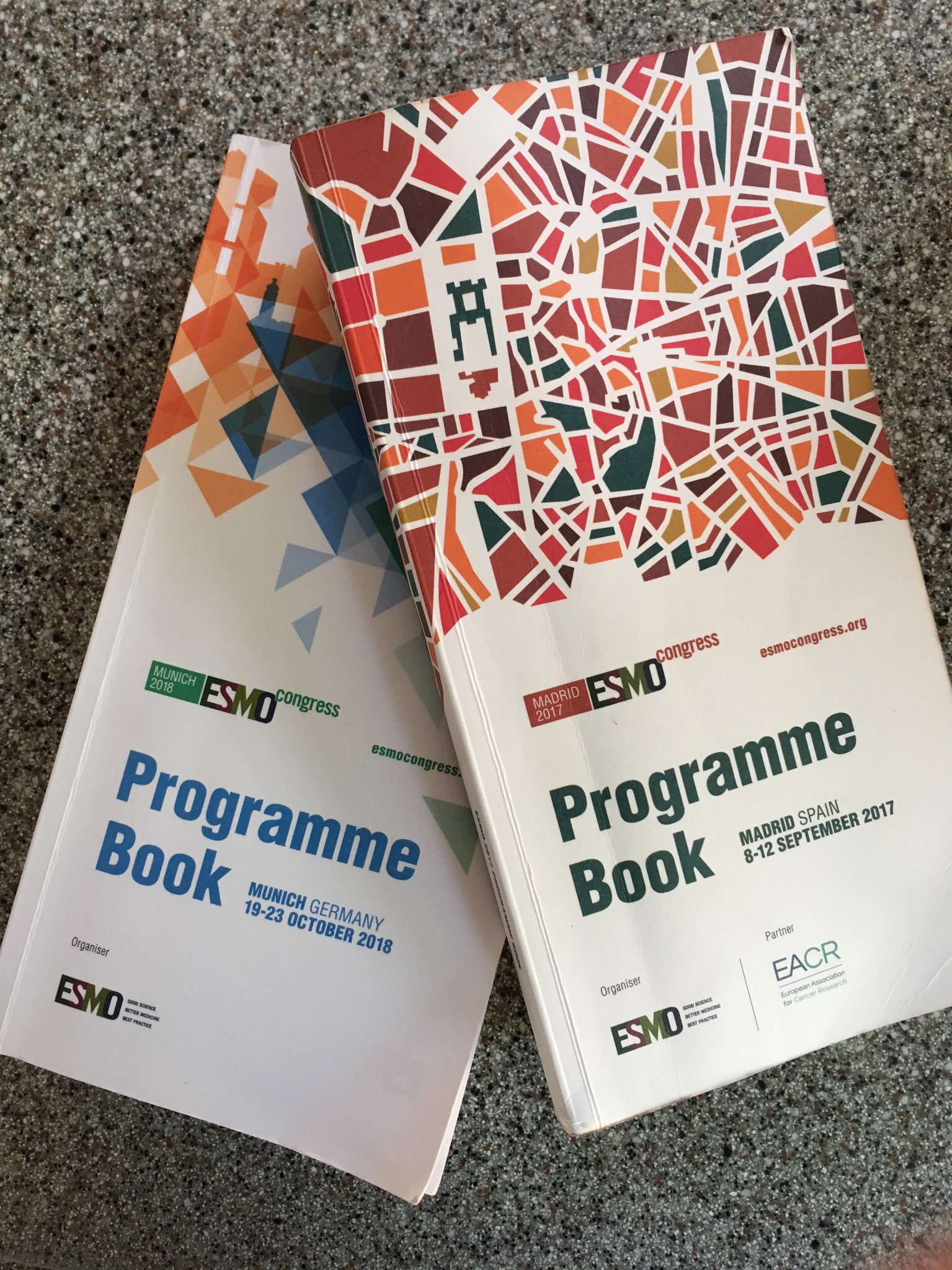 ESMO Programme
